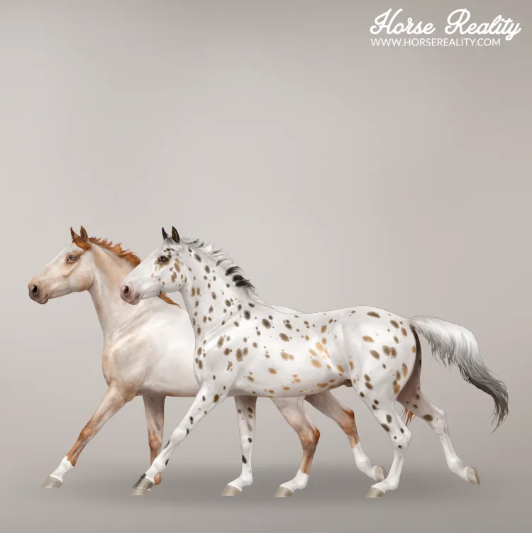 Spotted Coat Patterns