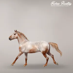 Varnish roan