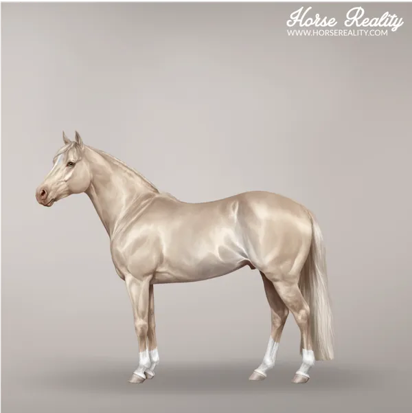 Palomino Pearl