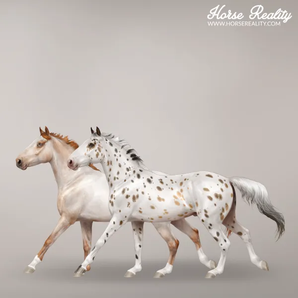 Spotted Coat Patterns